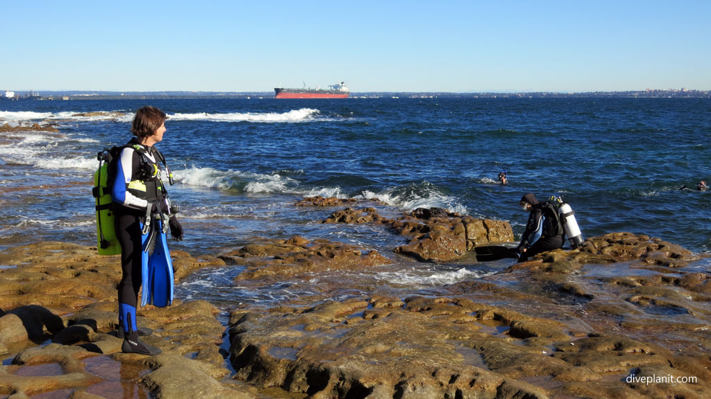 Bare Island dive site, La Perouse, Sydney, NSW. Shore dive: how to find it, safe entry point, what to look out for, what you might see, who to go with