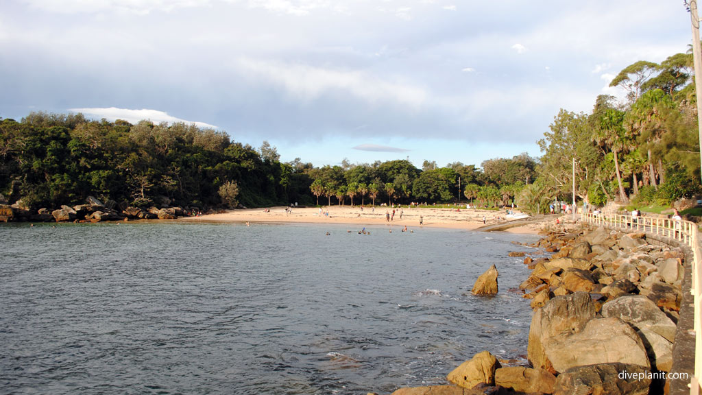 Manly Environs diving holiday travel planning for Shelly Beach - where, who and how