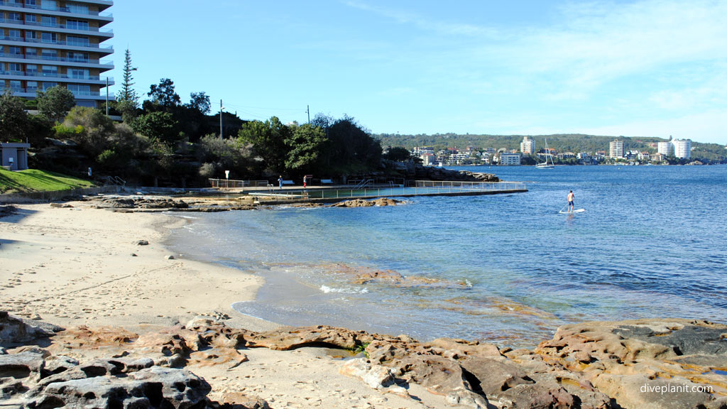 Sydney’s best dive sites; summary of Sydney dive sites (top 18), where they are, what you’ll see, how to dive them and who to go with