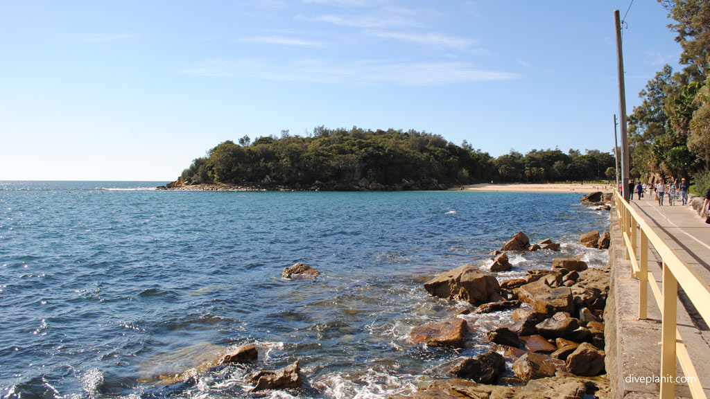 Manly Environs diving holiday travel planning for Shelly Beach - where, who and how