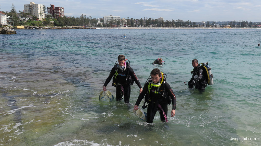 Best dive site in Manly is Shelly Beach. Scuba holiday travel planning for Manly - where, who and how