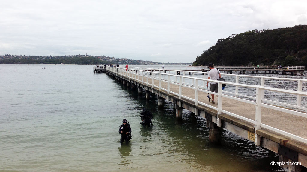 Sydney’s best dive sites; summary of Sydney dive sites (top 18), where they are, what you’ll see, how to dive them and who to go with