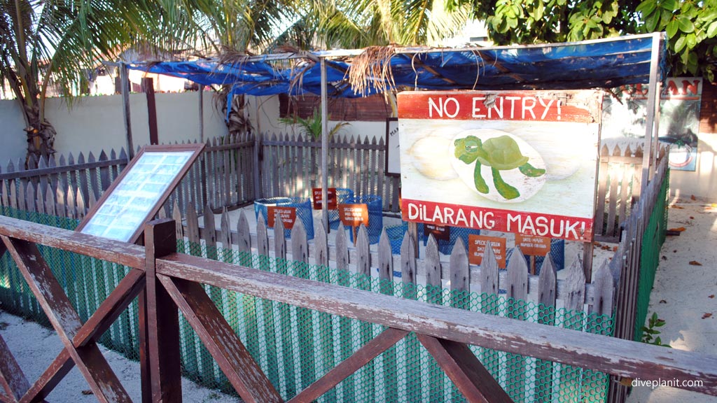 Diveplanit explainer: is that Eco Dive Resort or Liveaboard a sustainable dive operation
