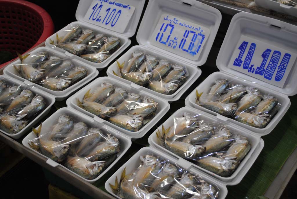 One of the most popular fish to eat in Bangkok: mackeral. But now they are overfishing to the extent that juvenile mackeral are now also a popular delicacy. And look - sold wrapped in plastic in polystyrene containers.