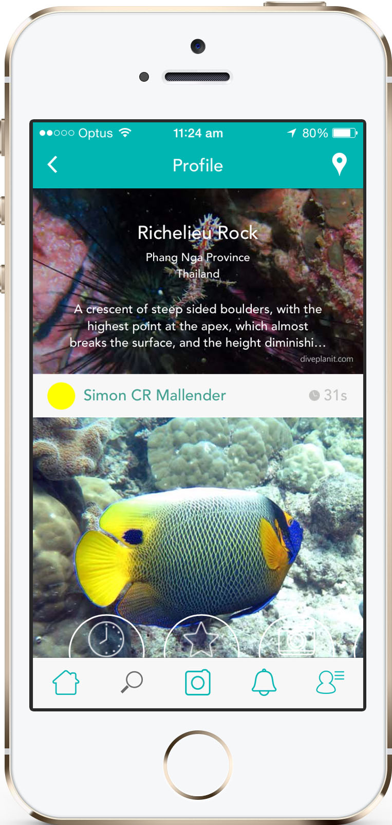 Diveplanit: a social media platform for divers. Log your dive with pictures & share to FB, Tw or the Scubafeed. Dive Sites, Centres and Fish ID pre-loaded