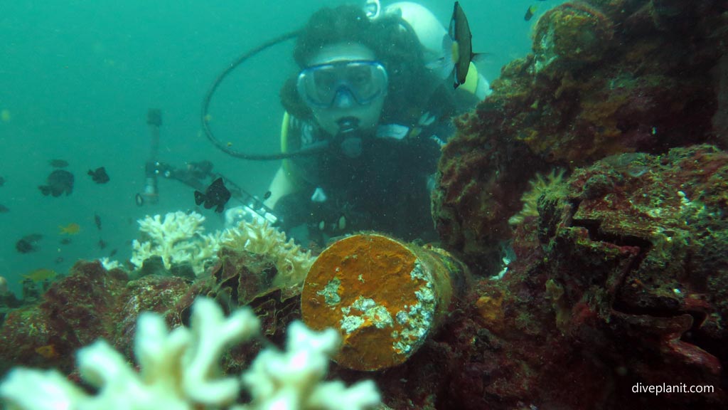 Deb and shell at Kyokuzan Maru diving Busuanga Palawan in the Philippines by Diveplanit