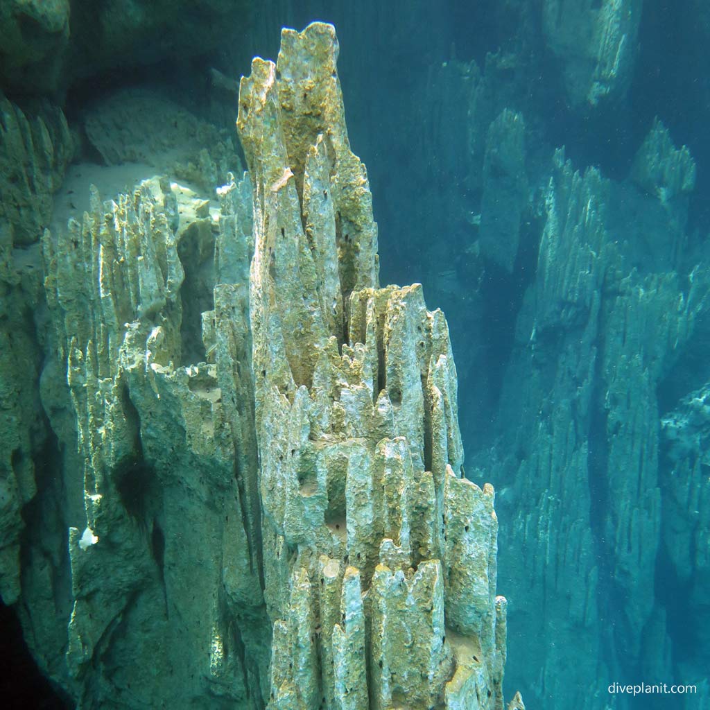 Steep pinnacles underwater at Kayangan Lake Coron diving Palawan in the Philippines by Diveplanit