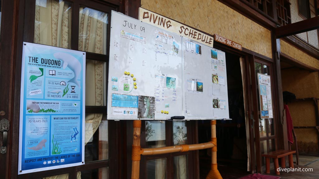 Dive schedule for the week diving Palawan with the Dugong Dive Center in the Philippines by Diveplanit