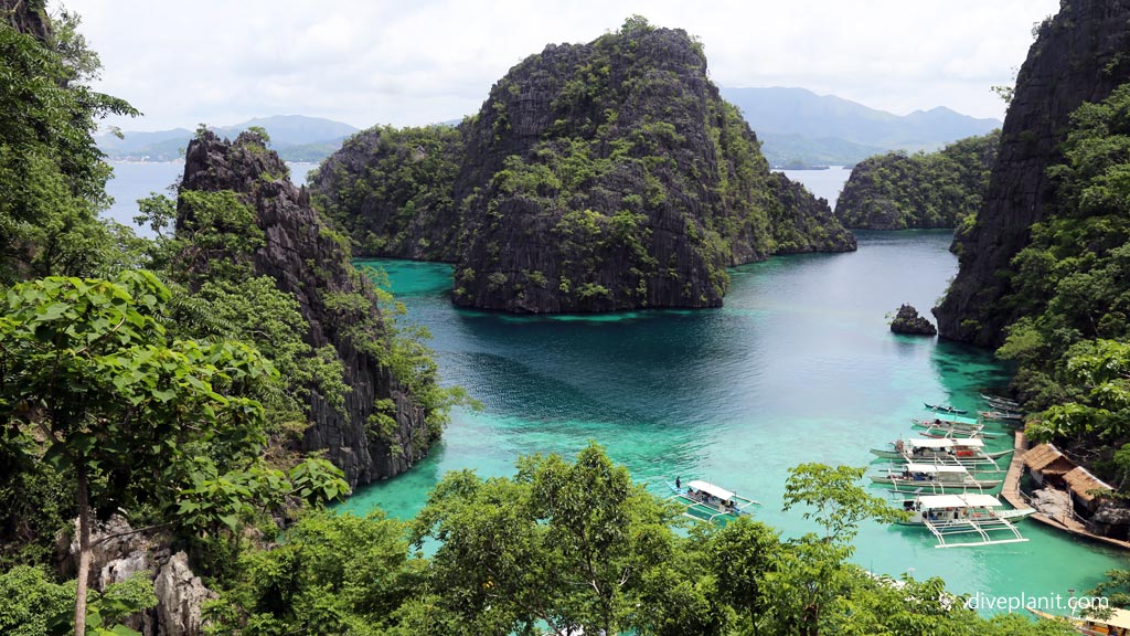 View over the landscape at Coron's Kayangan Lake Palawan diving the Philippines by Diveplanit