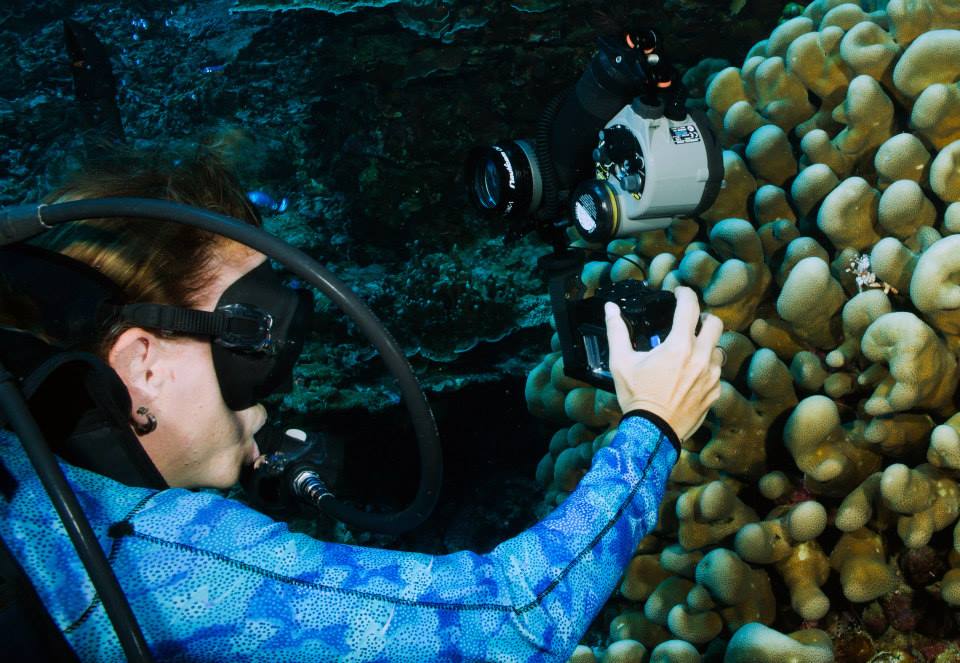 Yvonne McKenzie shares her story of underwater photography.