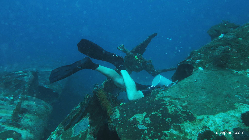 You can have a good look inside at Catalina Wreck diving Tulagi in the Solomon Islands by Diveplanit