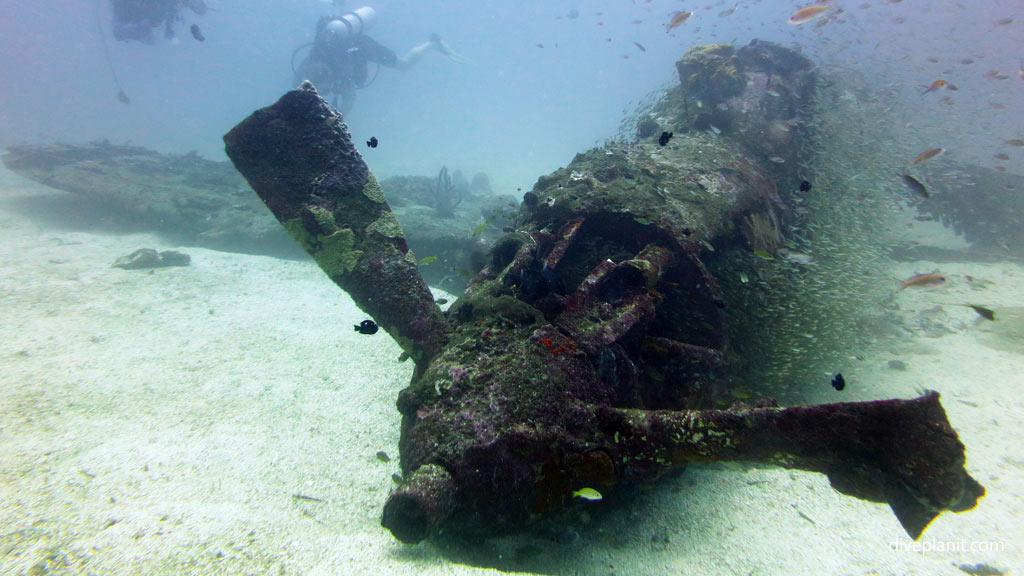From the front with divers at Airacobra Wreck diving Munda in the Solomon Islands by Diveplanit