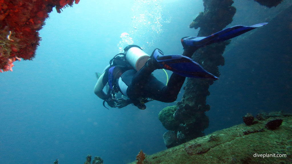 Lots of scope for swim throughs at Toa Maru diving Gizo in the Solomon Islands by Diveplanit