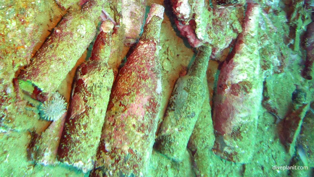 Sake bottles on show at Toa Maru diving Gizo in the Solomon Islands by Diveplanit