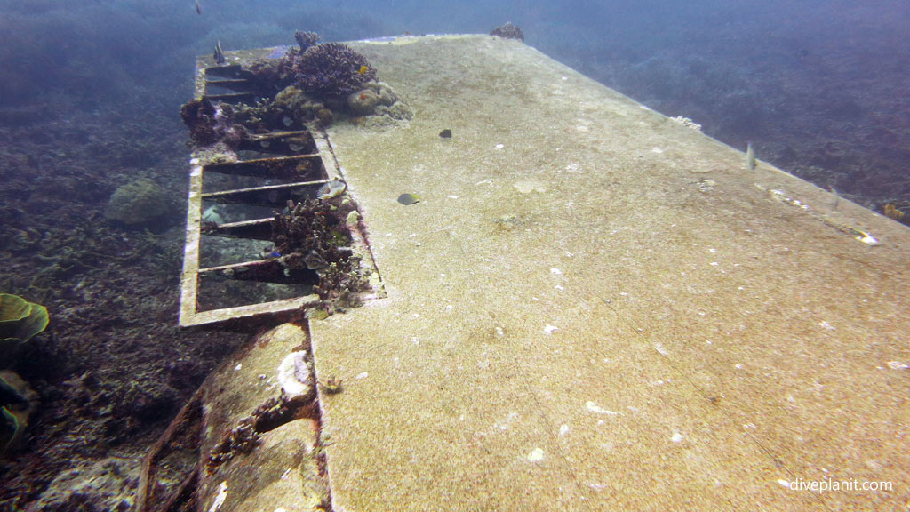 Port wing at Hellcat Wreck diving Gizo in the Gizo by Diveplanit