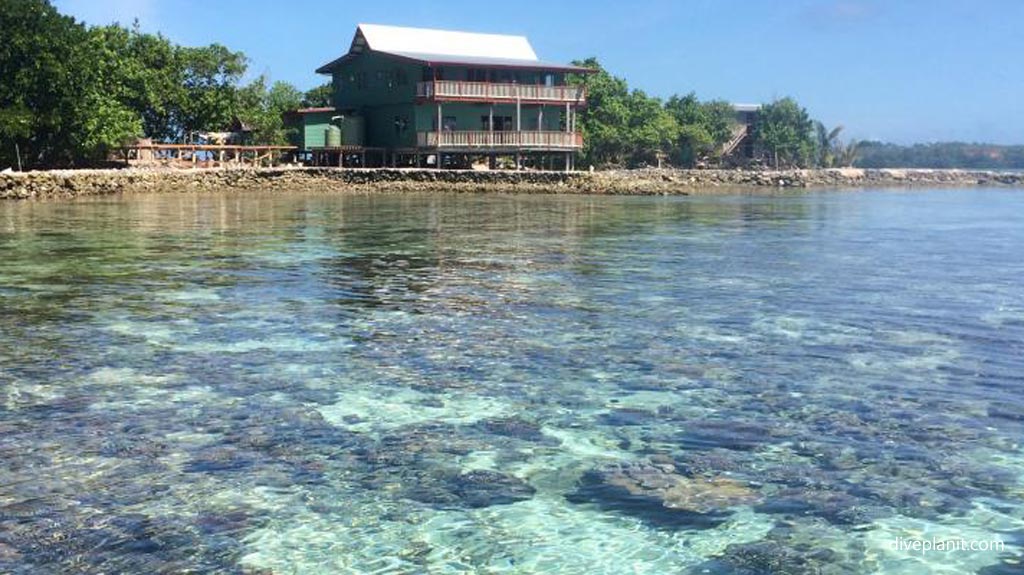 Great snorkeling in the lagoon diving Gizo at Imagination Island in the Solomon Islands by Diveplanit