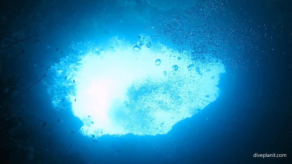 Looking back up at Twin Tunnels diving Tulagi in the Solomon Islands by Diveplanit