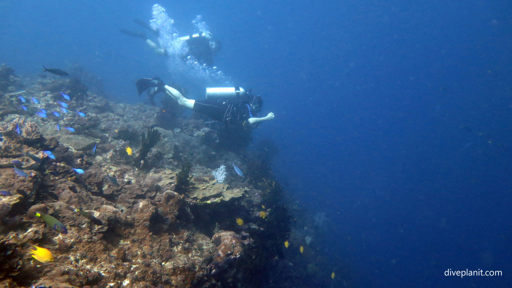 Deb and Neil at the drop off diving Tulagi with Tulagi Dive in the Solomon Islands by Diveplanit