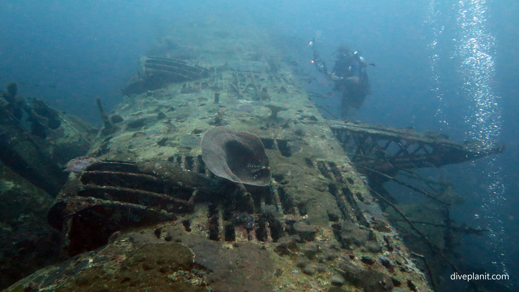 A shot along the top of the wing at Catalina Wreck diving Tulagi in the Solomon Islands by Diveplanit