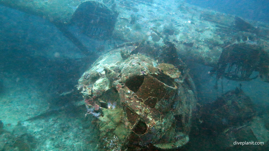 The cockpit and wing with the engine mounts at Catalina Wreck diving Tulagi in the Solomon Islands by Diveplanit