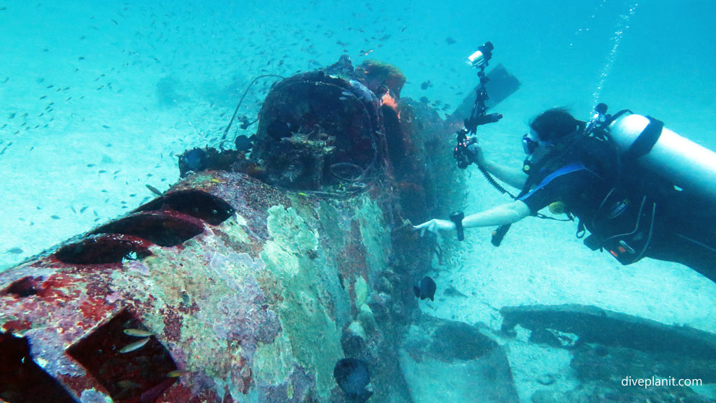 Diver for scale at Airacobra Wreck diving Munda in the Solomon Islands by Diveplanit