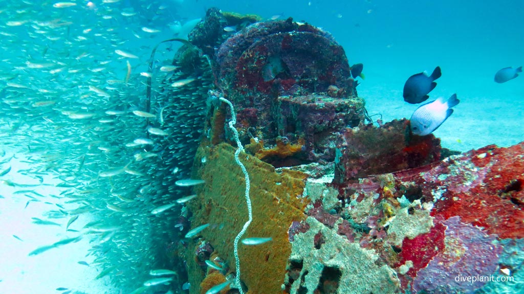 The cockpit at Airacobra Wreck diving Munda in the Solomon Islands by Diveplanit