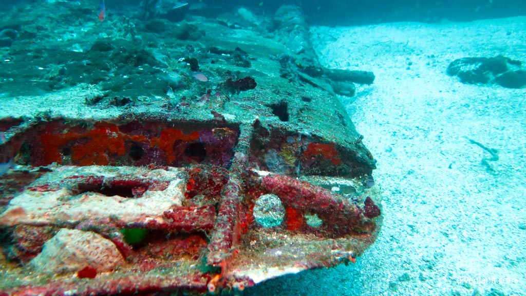 Along the starboard wing at Airacobra Wreck diving Munda in the Solomon Islands by Diveplanit