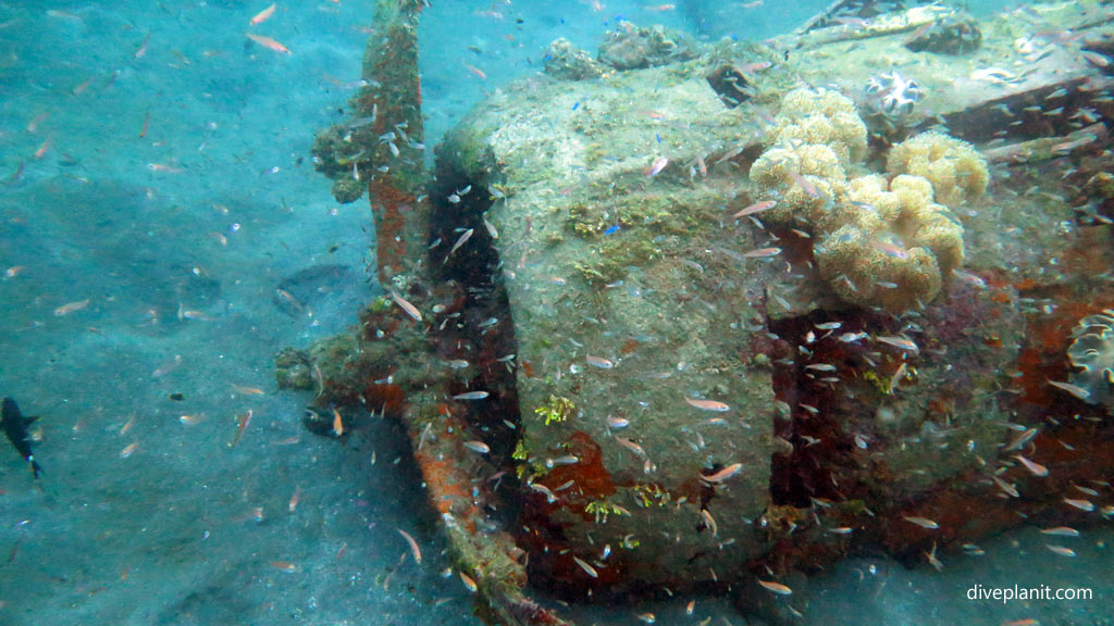 The nose with the propellers bent backwards at Dauntless Wreck diving Munda in the Solomon Islands by Diveplanit