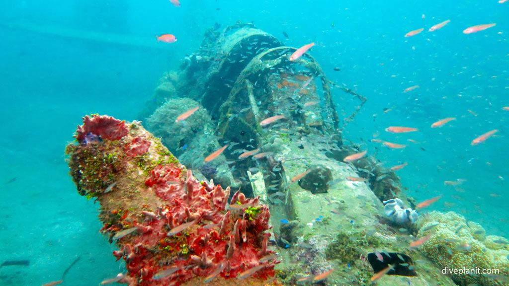 Along the fuselage into the cockpit at Dauntless Wreck diving Munda in the Solomon Islands by Diveplanit