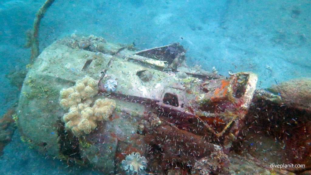 Final shot looking down diving Munda with Dive Munda in the Solomon Islands by Diveplanit