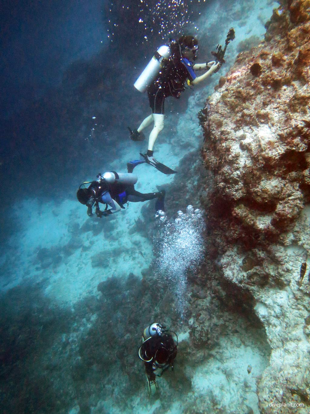 The wall drops steeply at Grand Central Station diving Gizo in the Solomon Islands by Diveplanit