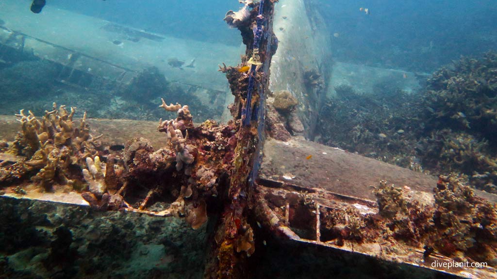 Hellcat from the tail at Hellcat Wreck diving Gizo in the Gizo by Diveplanit