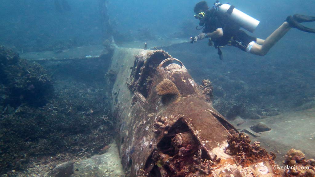 Diver above the plane at Hellcat Wreck diving Gizo in the Gizo by Diveplanit