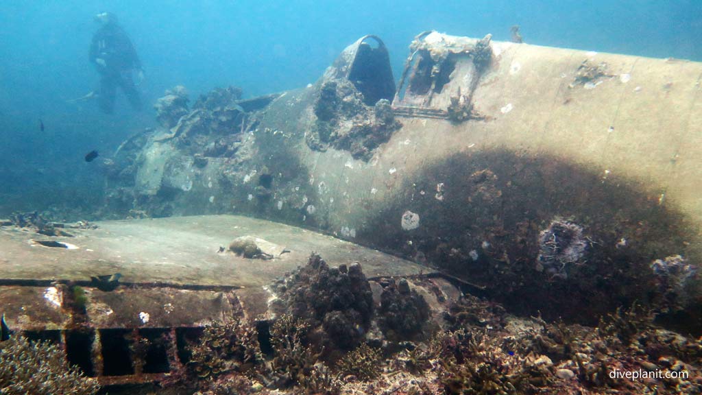 Wreck with diver for scale at Hellcat Wreck diving Gizo in the Gizo by Diveplanit