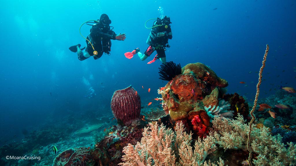 Two divers above the coral and sponges diving Crystal Rock at Komodo National Park Indonesia Credit Moana