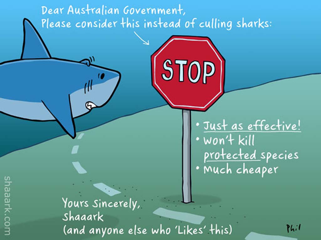 STOP shark cull