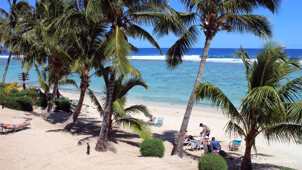 Beach diving Rarotonga at Edgewater Resort in the Cook Islands by Diveplanit