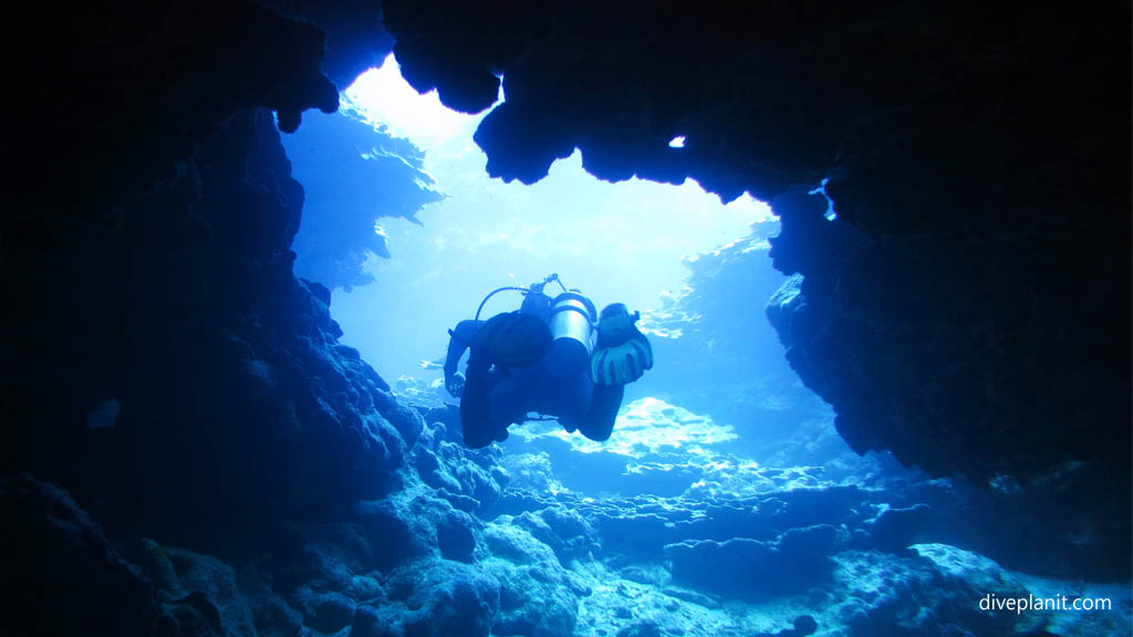 Swim through at Black Rock diving Aitutaki in the Cook Islands by Diveplanit