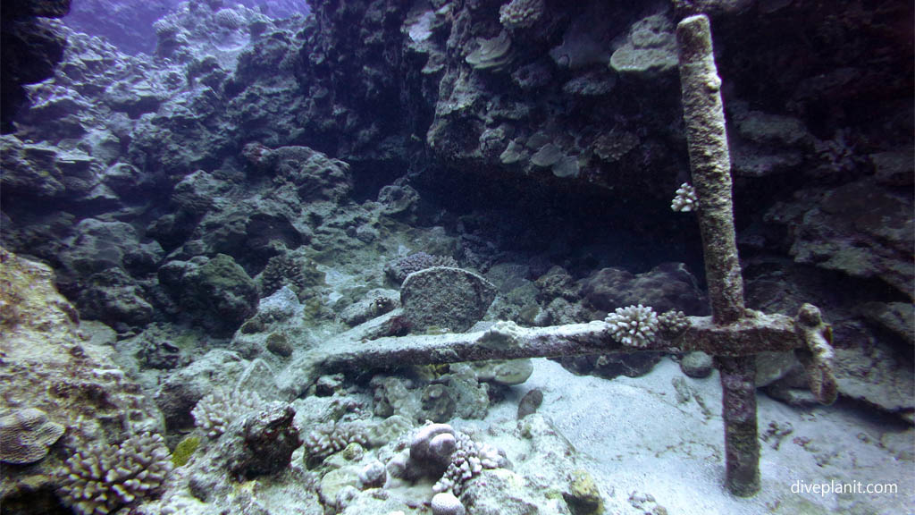 Ednas Anchor at Ednas Anchor diving Rarotonga in the Cook Islands by Diveplanit