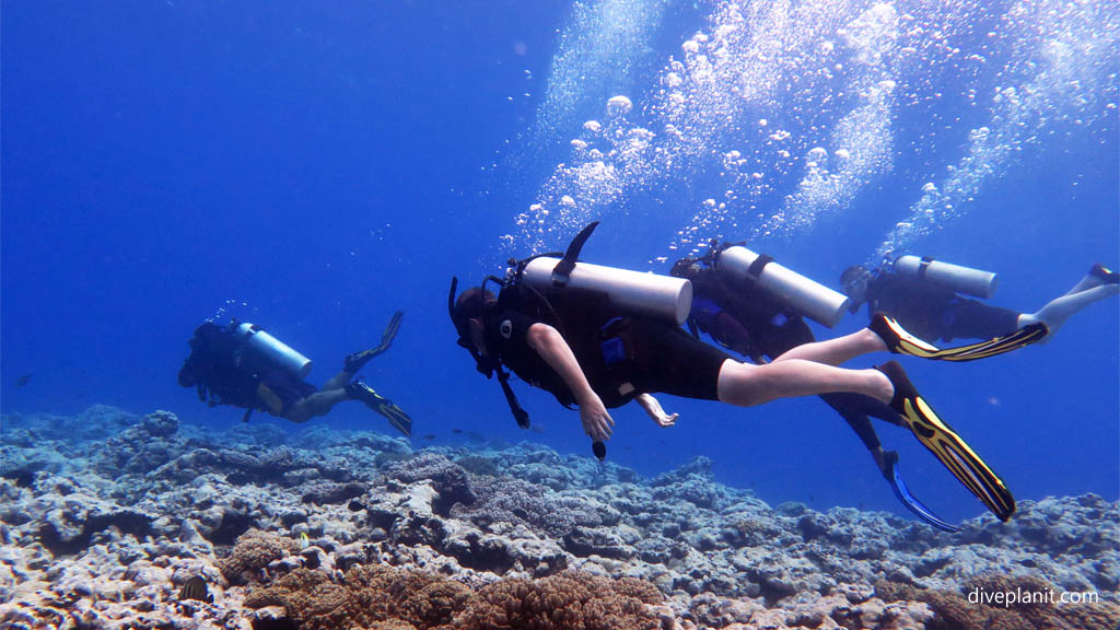 Following the dive guide diving Aitutaki with Bubbles Below Dive Centre in the Cook Islands by Diveplanit