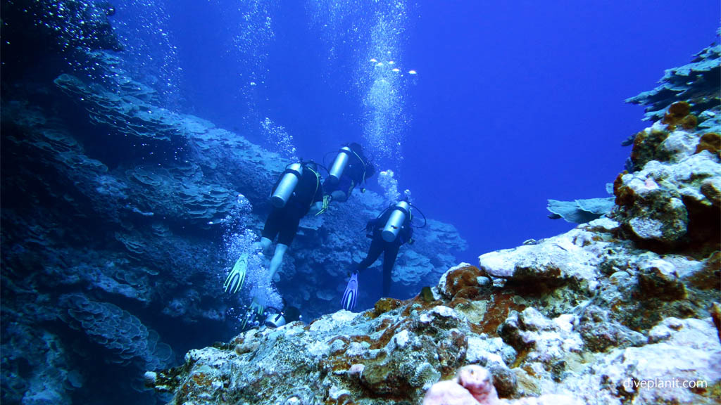 Following the dive guide shows terrain at Black Rock diving Aitutaki in the Cook Islands by Diveplanit