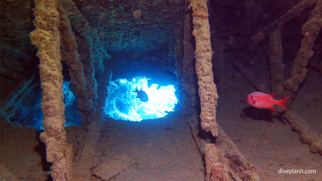 Inside the wreck at Black Rock diving Aitutaki in the Cook Islands by Diveplanit