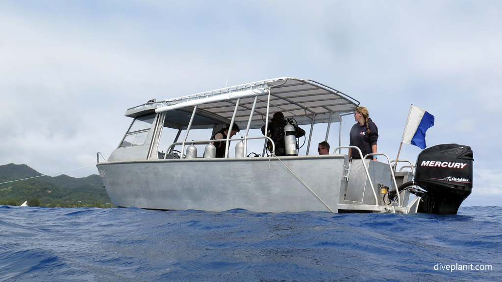 The Big Fish dive boat Dive Time diving Rarotonga with The Big Fish Dive Centre in the Cook Islands by Diveplanit