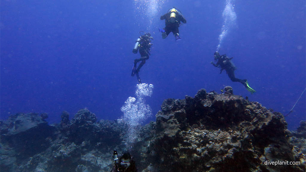 Water clarity shot diving Rarotonga at Sand River in the Cook Islands by Diveplanit