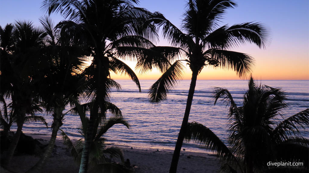 Sunset behind the palms diving Rarotonga at Edgewater Resort in the Cook Islands by Diveplanit