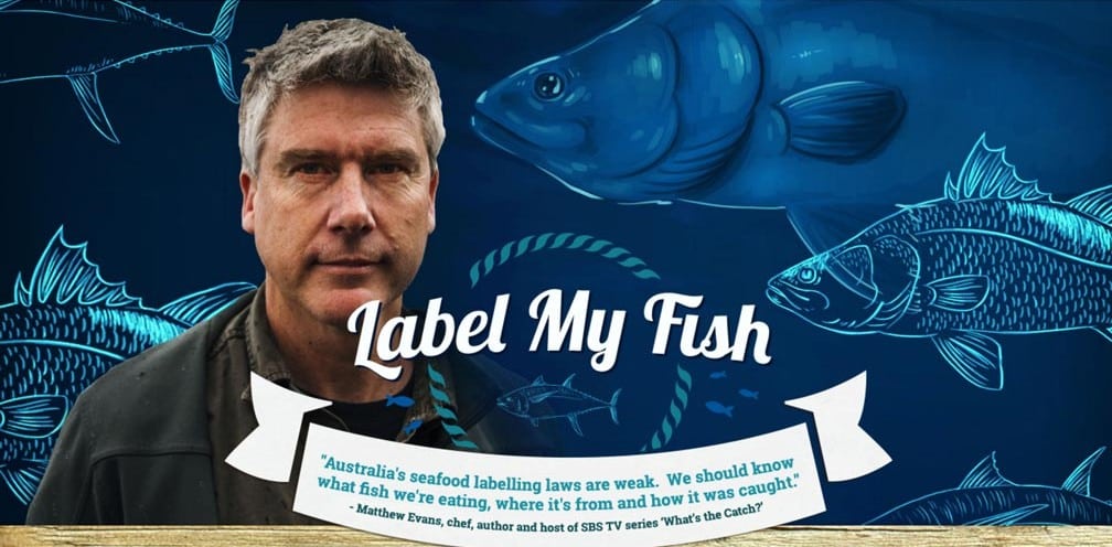 Sustainable seafood: how better seafood labelling, informed decisions and personal action can make a difference