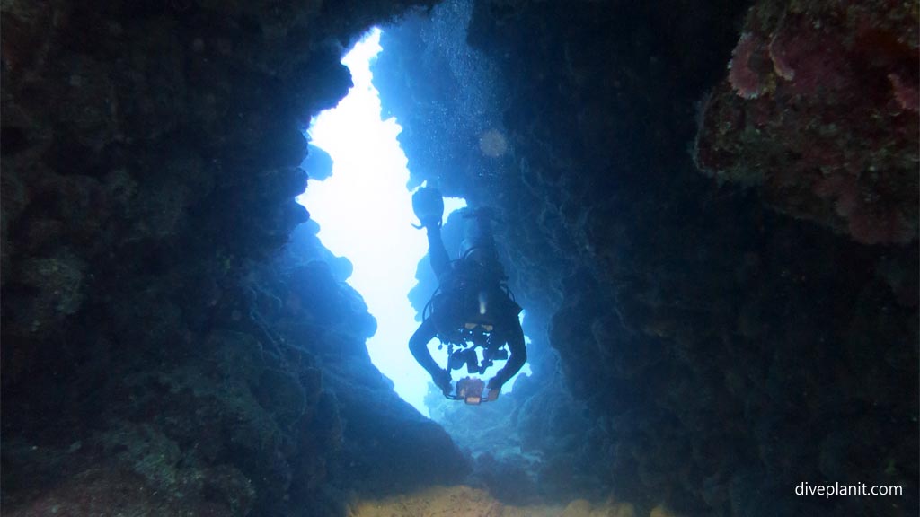 Simon in the swim through at Coral Gardens diving Vomo at Coral Gardens in the Fiji Islands by Diveplanit