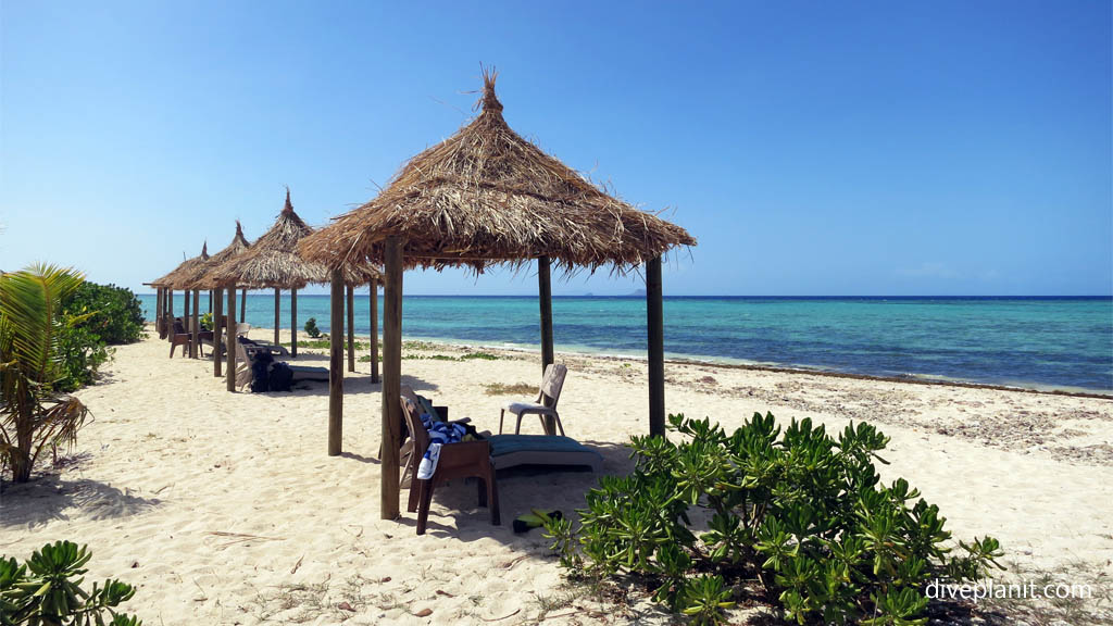 Beach shade at Tivua Island diving Tivua in the Fiji Islands by Diveplanit