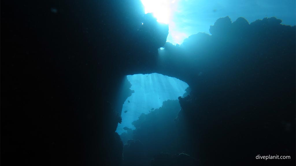 Two Bommies at Vomo Resort is just that: two 20m high steep sided bommies close together topped with corals and side coated in sea fans