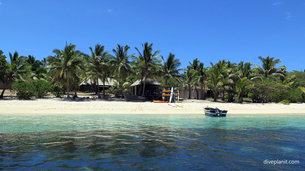 Ocean play from the water diving Vomo with Vomo Island Resort PADI dive centre in the Fiji Islands by Diveplanit